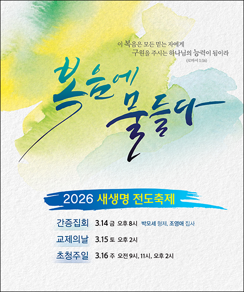 ������_C_308