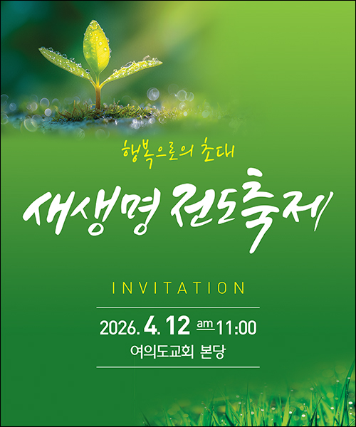 ������_C_311